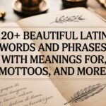 120+ Beautiful Latin Words and Phrases With Meanings for Tattoos, Mottos, and More