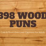 398 Wood Puns: Cute & Short One Liner Captions For Adults